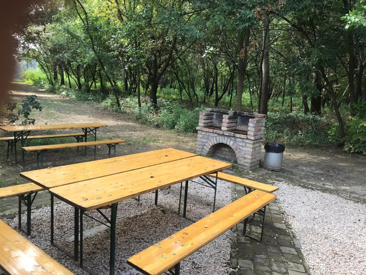 Tisza-Beach Wild Camping 5 Segedin Dış mekan fotoğraf