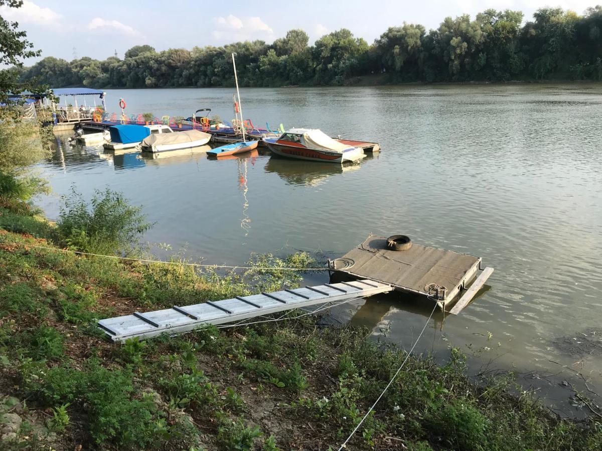 Tisza-Beach Wild Camping 5 Segedin Dış mekan fotoğraf